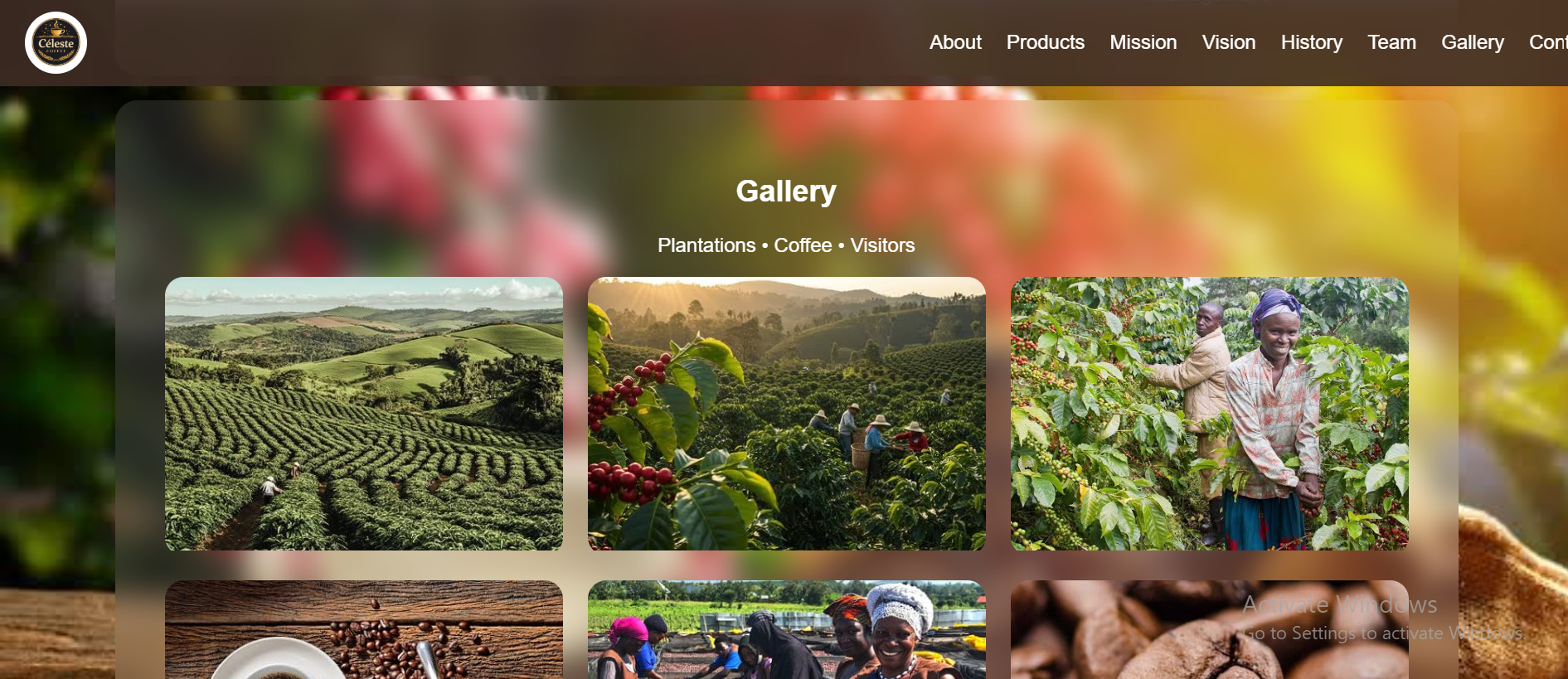 Preview of a business website and e-commerce project